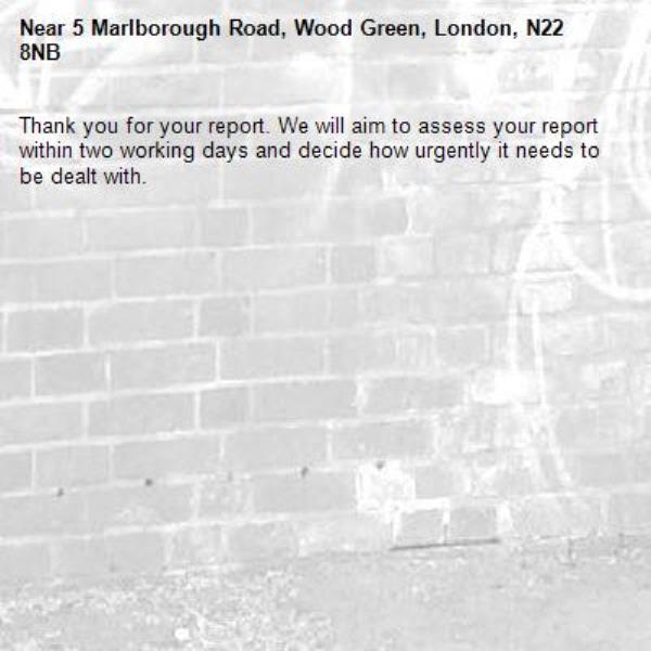 Thank you for your report. We will aim to assess your report within two working days and decide how urgently it needs to be dealt with.-5 Marlborough Road, Wood Green, London, N22 8NB