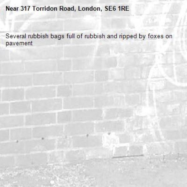 Several rubbish bags full of rubbish and ripped by foxes on pavement-317 Torridon Road, London, SE6 1RE