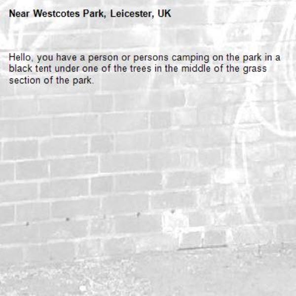 Hello, you have a person or persons camping on the park in a black tent under one of the trees in the middle of the grass section of the park. -Westcotes Park, Leicester, UK