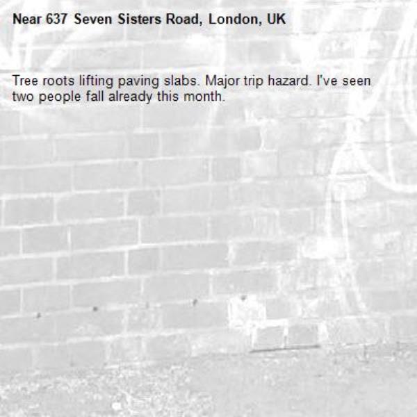 Tree roots lifting paving slabs. Major trip hazard. I've seen two people fall already this month.-637 Seven Sisters Road, London, UK