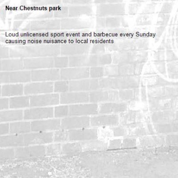 Loud unlicensed sport event and barbecue every Sunday causing noise nuisance to local residents -Chestnuts park