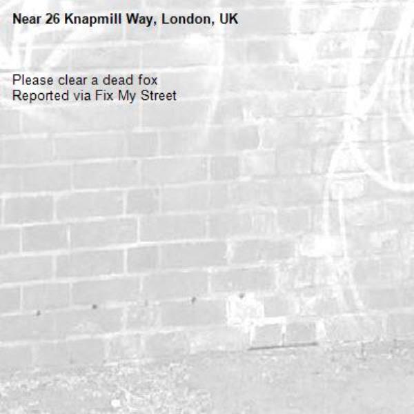 Please clear a dead fox
Reported via Fix My Street-26 Knapmill Way, London, UK