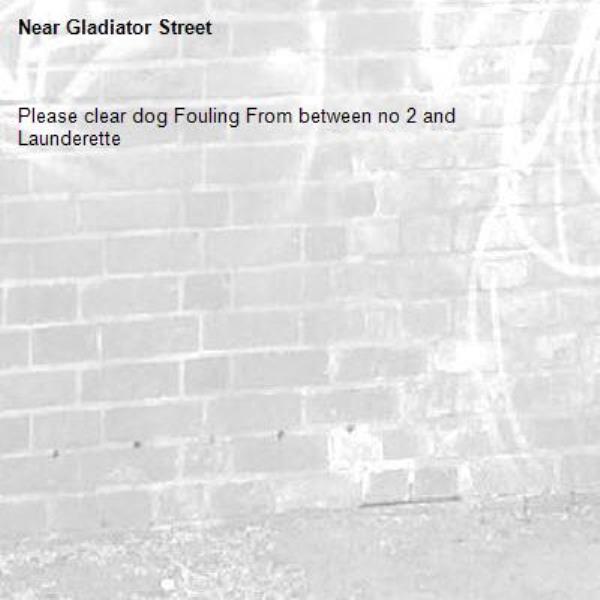 Please clear dog Fouling From between no 2 and Launderette
-Gladiator Street