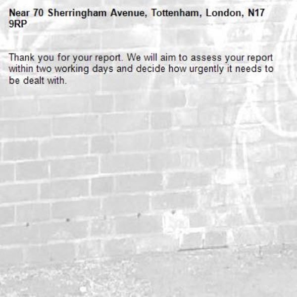 Thank you for your report. We will aim to assess your report within two working days and decide how urgently it needs to be dealt with.-70 Sherringham Avenue, Tottenham, London, N17 9RP