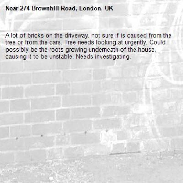 A lot of bricks on the driveway, not sure if is caused from the tree or from the cars. Tree needs looking at urgently. Could possibly be the roots growing underneath of the house, causing it to be unstable. Needs investigating.-274 Brownhill Road, London, UK