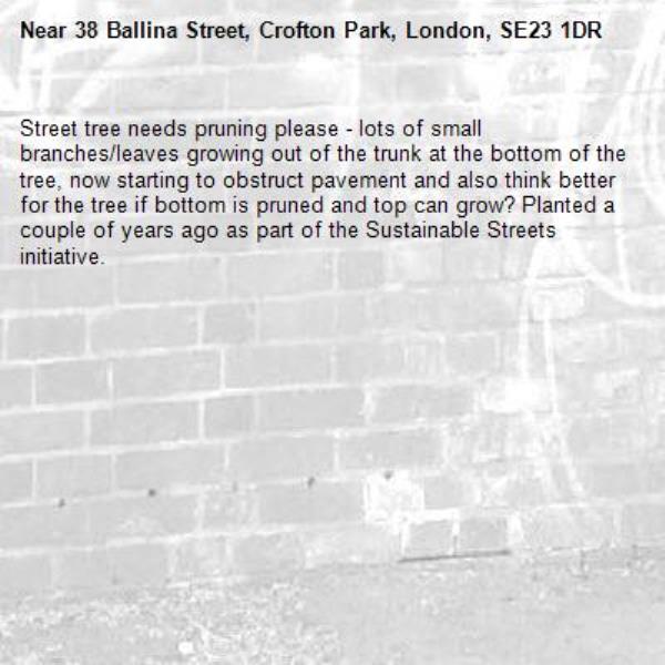 Street tree needs pruning please - lots of small branches/leaves growing out of the trunk at the bottom of the tree, now starting to obstruct pavement and also think better for the tree if bottom is pruned and top can grow? Planted a couple of years ago as part of the Sustainable Streets initiative. -38 Ballina Street, Crofton Park, London, SE23 1DR
