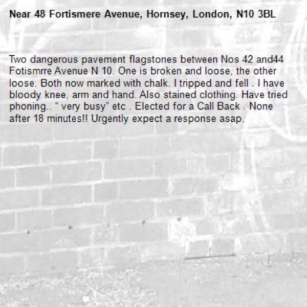 Two dangerous pavement flagstones between Nos 42 and44 Fotismrre Avenue N 10. One is broken and loose, the other loose. Both now marked with chalk. I tripped and fell . I have bloody knee, arm and hand. Also stained clothing. Have tried phoning.. “ very busy” etc . Elected for a Call Back . None after 18 minutes!! Urgently expect a response asap.-48 Fortismere Avenue, Hornsey, London, N10 3BL
