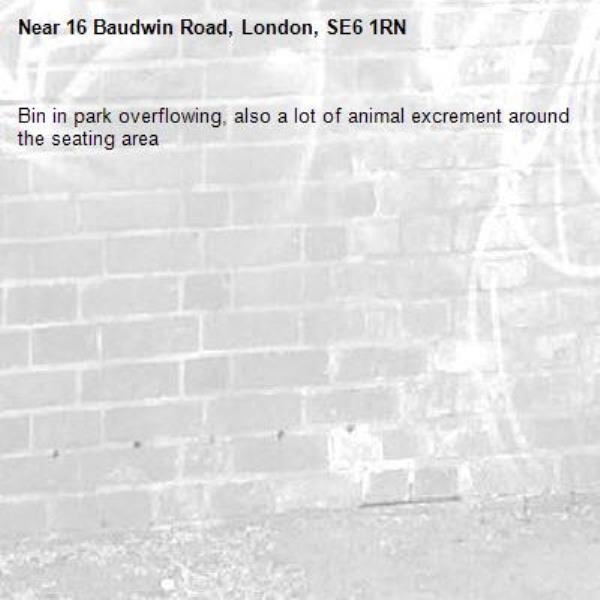 Bin in park overflowing, also a lot of animal excrement around the seating area-16 Baudwin Road, London, SE6 1RN
