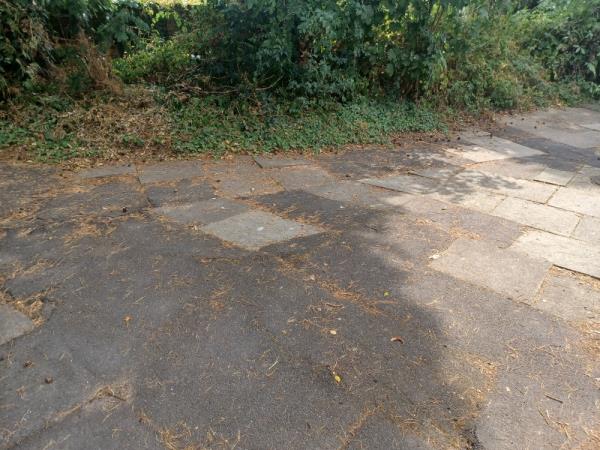 at the rear of number 12 rathbone house, hepplewhite Road broadfield,  the footpath is in dangerous condition. wheelchair users can't use it and pedestrians are always tripping over the uneven surface-Rathbone House Chippendale Road, Crawley, RH11 9LN