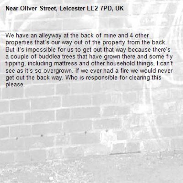 We have an alleyway at the back of mine and 4 other properties that’s our way out of the property from the back. But it’s impossible for us to get out that way because there’s a couple of buddlea trees that have grown there and some fly tipping, including mattress and other household things, I can’t see as it’s so overgrown. If we ever had a fire we would never get out the back way. Who is responsible for clearing this please. -Oliver Street, Leicester LE2 7PD, UK