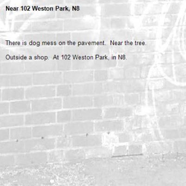 
There is dog mess on the pavement.  Near the tree.

Outside a shop.  At 102 Weston Park, in N8.
-102 Weston Park, N8