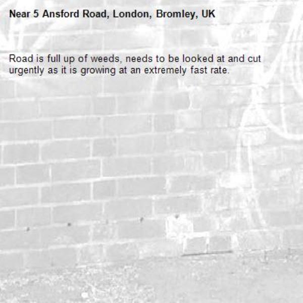 Road is full up of weeds, needs to be looked at and cut urgently as it is growing at an extremely fast rate.-5 Ansford Road, London, Bromley, UK