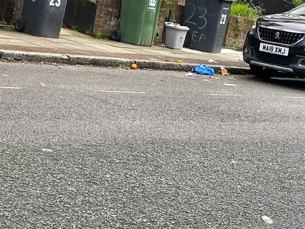 Yet again this tenant is being irresponsible re food and other waste. The bins were emptied today but this mess was left strewn across the pavement. It won’t be long before vermin and wind spreads it down the street. -Flat A, 23 Eliot Park, Blackheath, London, SE13 7EG