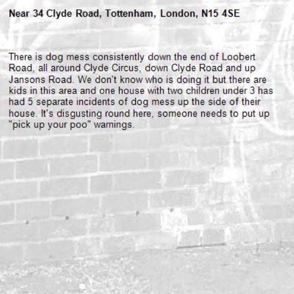 There is dog mess consistently down the end of Loobert Road, all around Clyde Circus, down Clyde Road and up Jansons Road. We don't know who is doing it but there are kids in this area and one house with two children under 3 has had 5 separate incidents of dog mess up the side of their house. It's disgusting round here, someone needs to put up "pick up your poo" warnings. -34 Clyde Road, Tottenham, London, N15 4SE