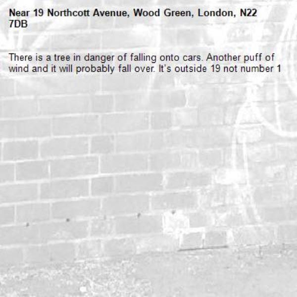 There is a tree in danger of falling onto cars. Another puff of wind and it will probably fall over. It’s outside 19 not number 1-19 Northcott Avenue, Wood Green, London, N22 7DB