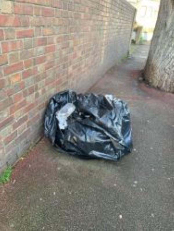 The Latin shopping mall drop bags of rubbish each day into our road as they don’t have a commercial rubbish collection. These bags attract rats and foxes. -Billington road