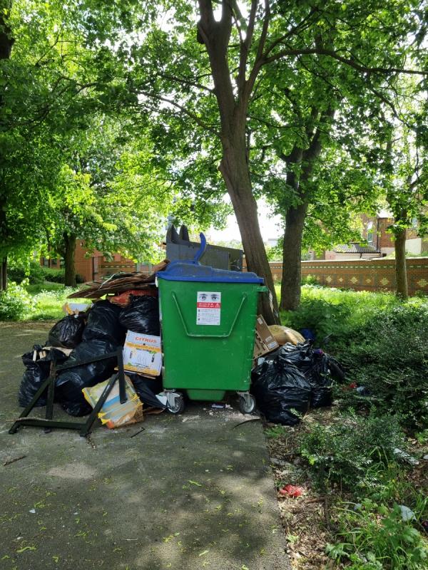 Overflowing bins and fly tipping-Playing Field