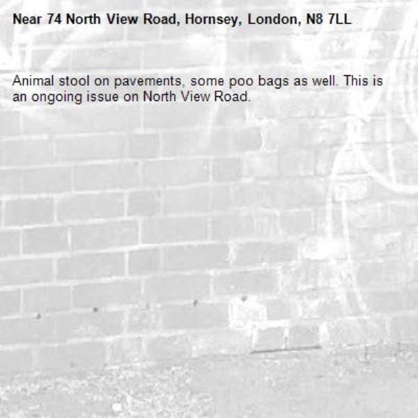 Animal stool on pavements, some poo bags as well. This is an ongoing issue on North View Road.-74 North View Road, Hornsey, London, N8 7LL