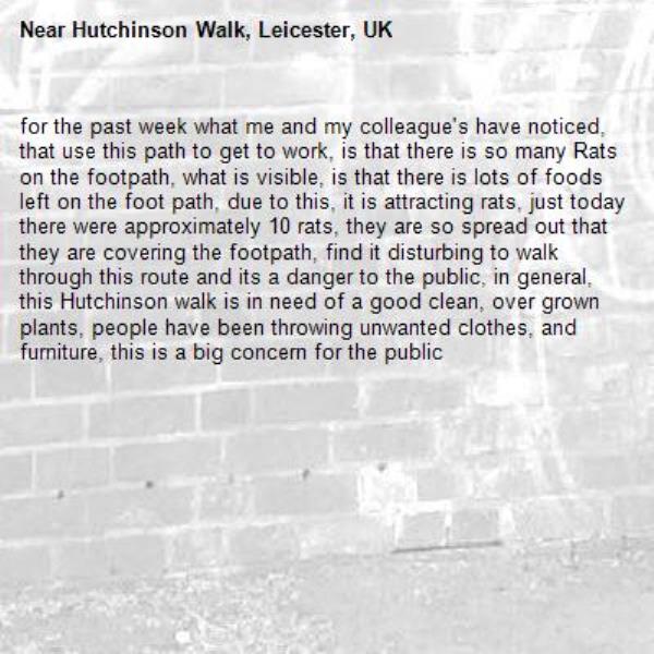 for the past week what me and my colleague&#39;s have noticed, that use this path to get to work, is that there is so many Rats on the footpath, what is visible, is that there is lots of foods left on the foot path, due to this, it is attracting rats, just today there were approximately 10 rats, they are so spread out that they are covering the footpath, find it disturbing to walk through this route and its a danger to the public, in general, this Hutchinson walk is in need of a good clean, over grown plants, people have been throwing unwanted clothes, and furniture, this is a big concern for the public-Hutchinson Walk, Leicester, UK