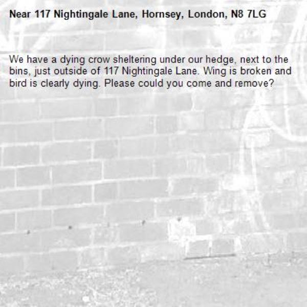 We have a dying crow sheltering under our hedge, next to the bins, just outside of 117 Nightingale Lane. Wing is broken and bird is clearly dying. Please could you come and remove? -117 Nightingale Lane, Hornsey, London, N8 7LG