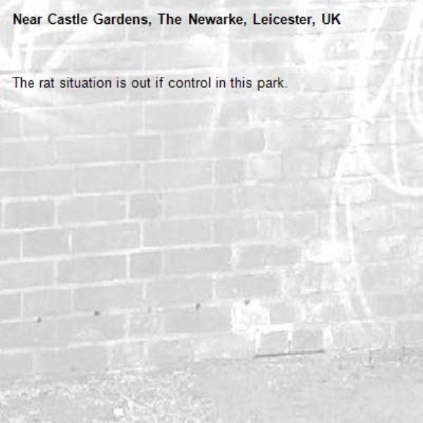 The rat situation is out if control in this park. -Castle Gardens, The Newarke, Leicester, UK