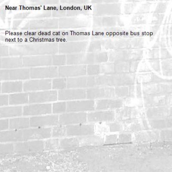 Please clear dead cat on Thomas Lane opposite bus stop next to a Christmas tree.-Thomas' Lane, London, UK