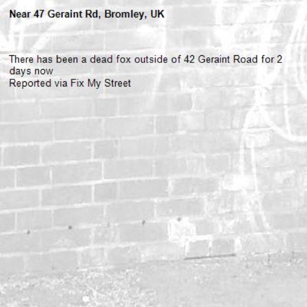 There has been a dead fox outside of 42 Geraint Road for 2 days now
Reported via Fix My Street-47 Geraint Rd, Bromley, UK