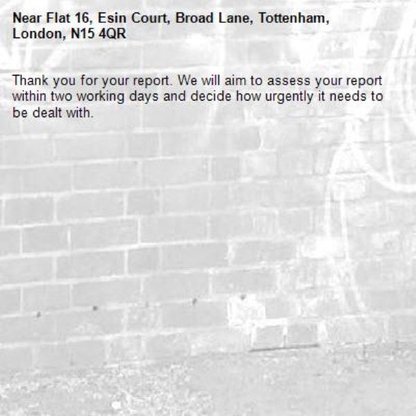Thank you for your report. We will aim to assess your report within two working days and decide how urgently it needs to be dealt with.-Flat 16, Esin Court, Broad Lane, Tottenham, London, N15 4QR