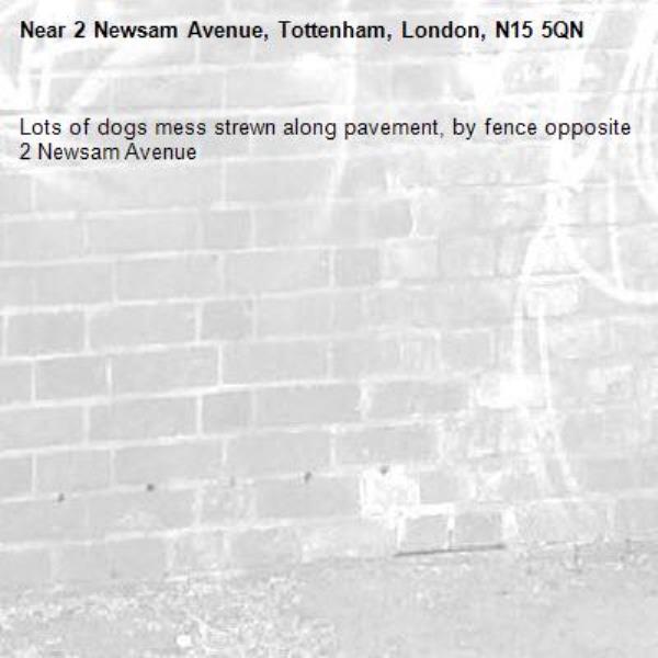 Lots of dogs mess strewn along pavement, by fence opposite 2 Newsam Avenue -2 Newsam Avenue, Tottenham, London, N15 5QN
