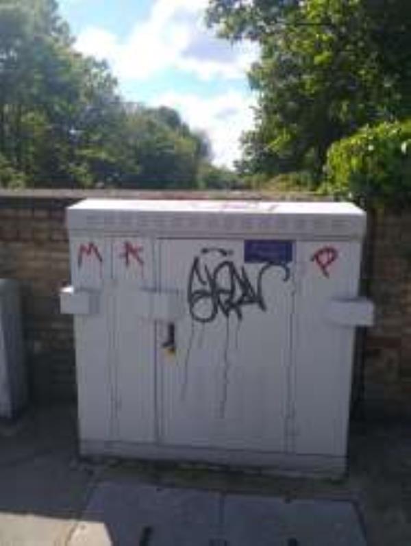 Remove Graffiti from Cable Box
-1A Tyrwhitt Road