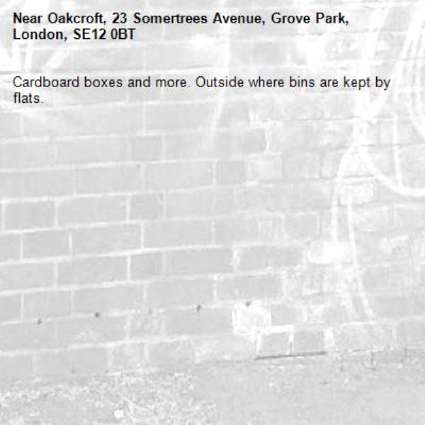 Cardboard boxes and more. Outside where bins are kept by flats. -Oakcroft, 23 Somertrees Avenue, Grove Park, London, SE12 0BT