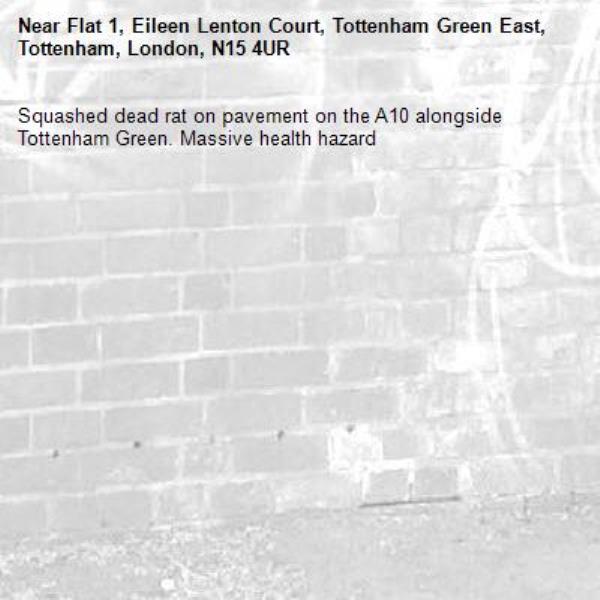 Squashed dead rat on pavement on the A10 alongside Tottenham Green. Massive health hazard-Flat 1, Eileen Lenton Court, Tottenham Green East, Tottenham, London, N15 4UR