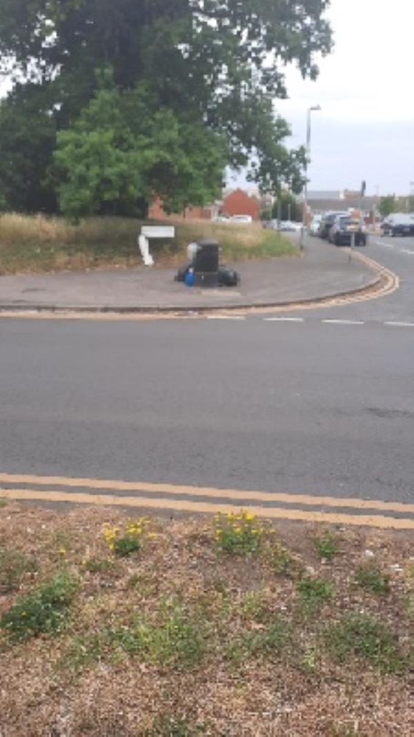 large amount of dumped rubbish around bin and also on grass verge against boundary fence-51 Barnwood Close, Reading, RG30 1BY