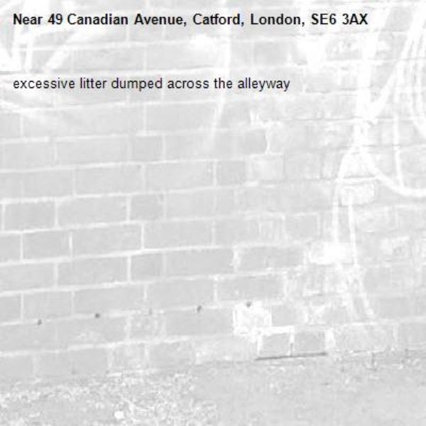 excessive litter dumped across the alleyway-49 Canadian Avenue, Catford, London, SE6 3AX