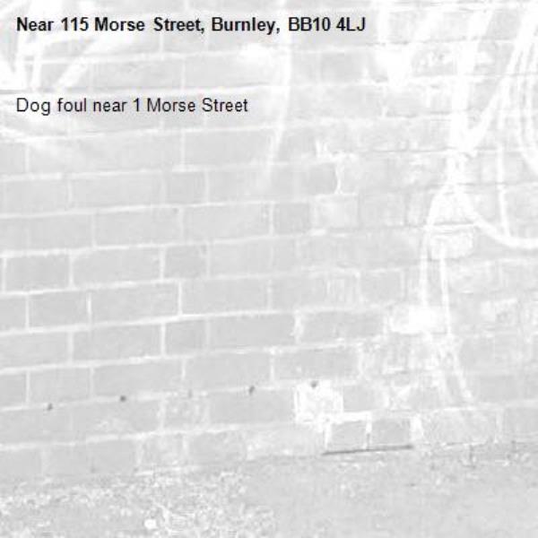 Dog foul near 1 Morse Street-115 Morse Street, Burnley, BB10 4LJ