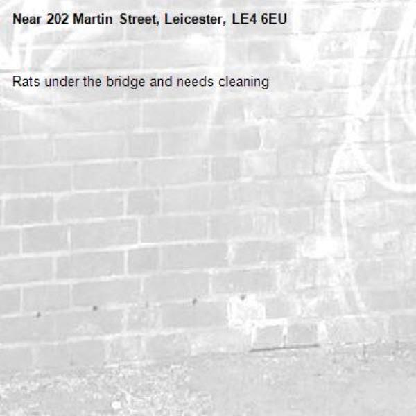 Rats under the bridge and needs cleaning -202 Martin Street, Leicester, LE4 6EU