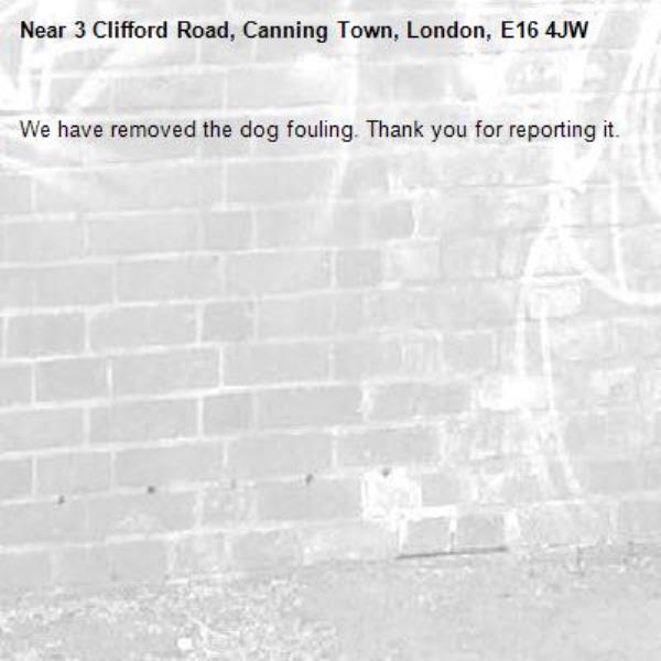 We have removed the dog fouling. Thank you for reporting it.-3 Clifford Road, Canning Town, London, E16 4JW