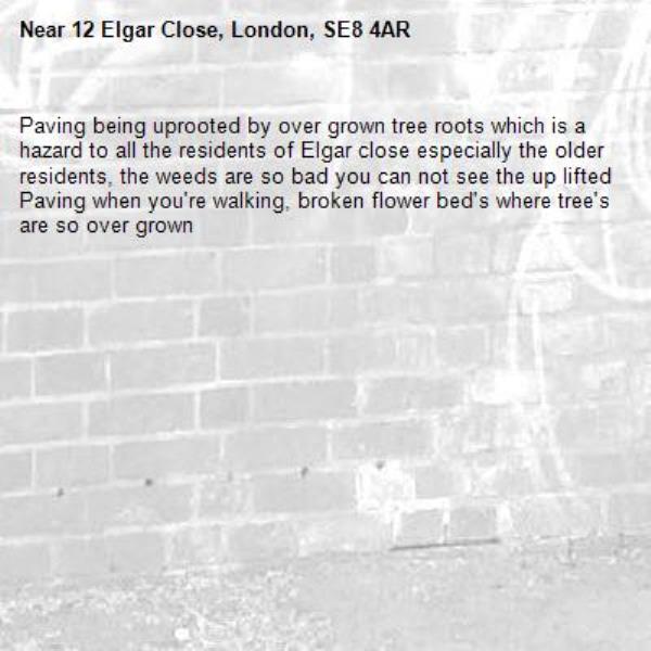 Paving being uprooted by over grown tree roots which is a hazard to all the residents of Elgar close especially the older residents, the weeds are so bad you can not see the up lifted Paving when you're walking, broken flower bed's where tree's are so over grown -12 Elgar Close, London, SE8 4AR
