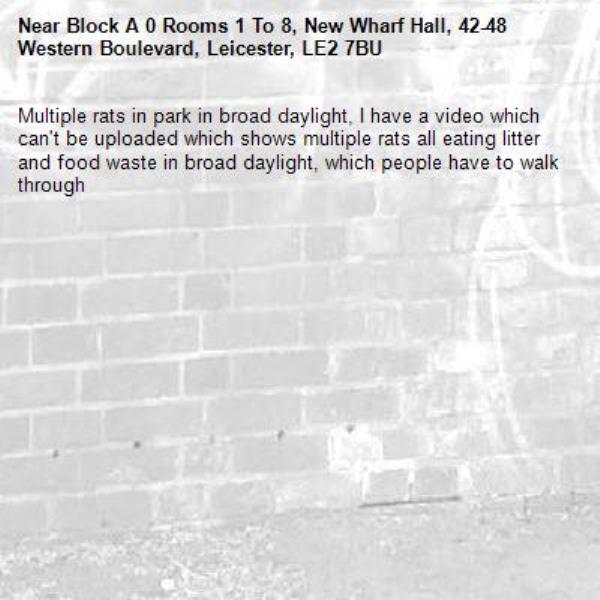 Multiple rats in park in broad daylight, I have a video which can't be uploaded which shows multiple rats all eating litter and food waste in broad daylight, which people have to walk through-Block A 0 Rooms 1 To 8, New Wharf Hall, 42-48 Western Boulevard, Leicester, LE2 7BU