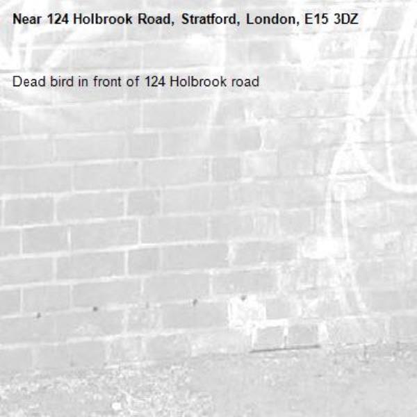 Dead bird in front of 124 Holbrook road-124 Holbrook Road, Stratford, London, E15 3DZ