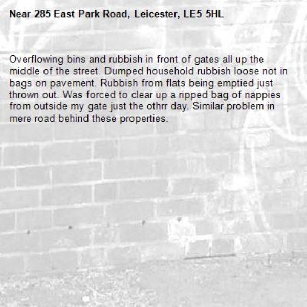 Overflowing bins and rubbish in front of gates all up the middle of the street. Dumped household rubbish loose not in bags on pavement. Rubbish from flats being emptied just thrown out. Was forced to clear up a ripped bag of nappies from outside my gate just the othrr day. Similar problem in mere road behind these properties.-285 East Park Road, Leicester, LE5 5HL