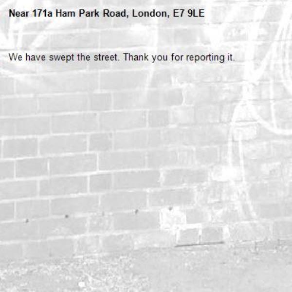 We have swept the street. Thank you for reporting it.-171a Ham Park Road, London, E7 9LE