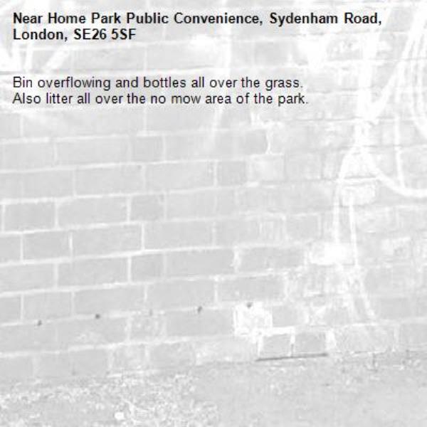 Bin overflowing and bottles all over the grass.
Also litter all over the no mow area of the park.-Home Park Public Convenience, Sydenham Road, London, SE26 5SF