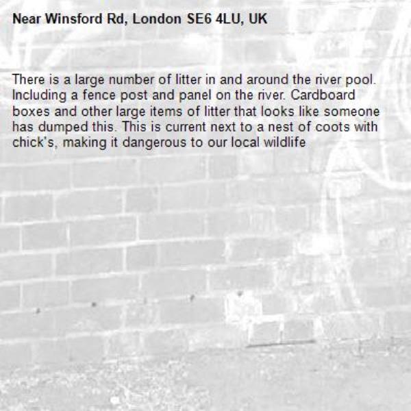 There is a large number of litter in and around the river pool. Including a fence post and panel on the river. Cardboard boxes and other large items of litter that looks like someone has dumped this. This is current next to a nest of coots with chick's, making it dangerous to our local wildlife-Winsford Rd, London SE6 4LU, UK