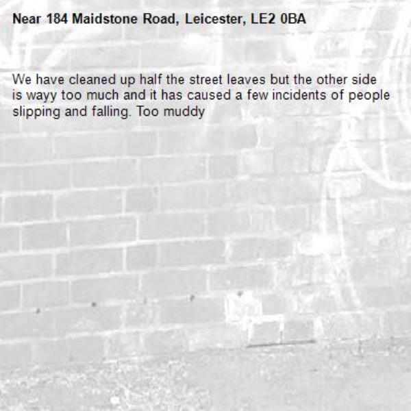 We have cleaned up half the street leaves but the other side is wayy too much and it has caused a few incidents of people slipping and falling. Too muddy -184 Maidstone Road, Leicester, LE2 0BA