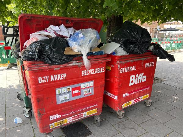 Can you please get this bloody company to empty their bins?-6A, Foxberry Road, London, SE4 2SP