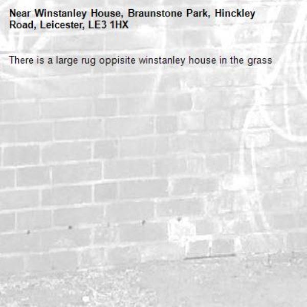 There is a large rug oppisite winstanley house in the grass-Winstanley House, Braunstone Park, Hinckley Road, Leicester, LE3 1HX