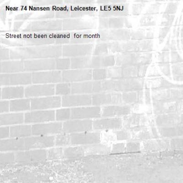 Street not been cleaned  for month-74 Nansen Road, Leicester, LE5 5NJ