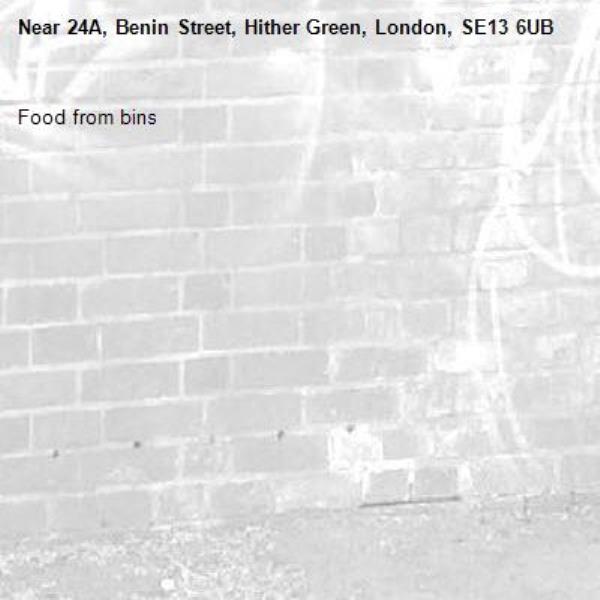 Food from bins -24A, Benin Street, Hither Green, London, SE13 6UB