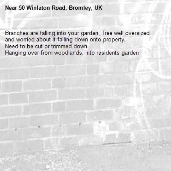 Branches are falling into your garden, Tree well oversized and worried about it falling down onto property. 
Need to be cut or trimmed down.
Hanging over from woodlands, into residents garden-50 Winlaton Road, Bromley, UK